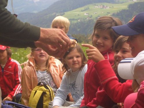 wald2.jpg