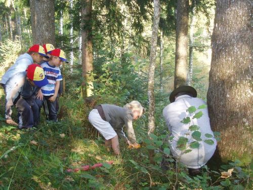 wald5.jpg