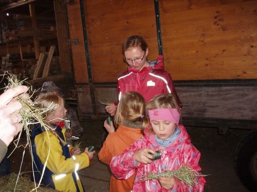 bauernhof6.jpg
